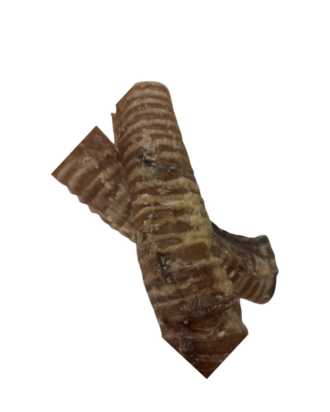 Beef Trachea – 2 Pack