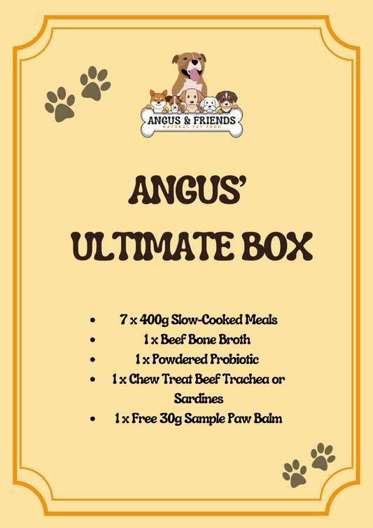 🐾  Angus' Favourites  – (Valued at $94.45)